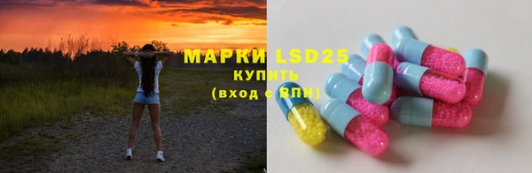 спиды Богородицк