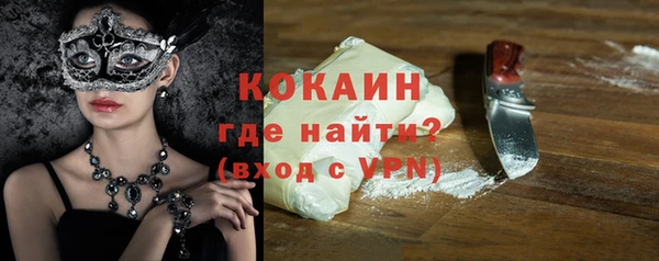 спиды Богородицк